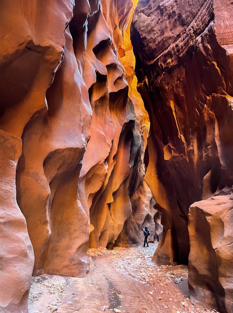 Photograph by Марина Маликова