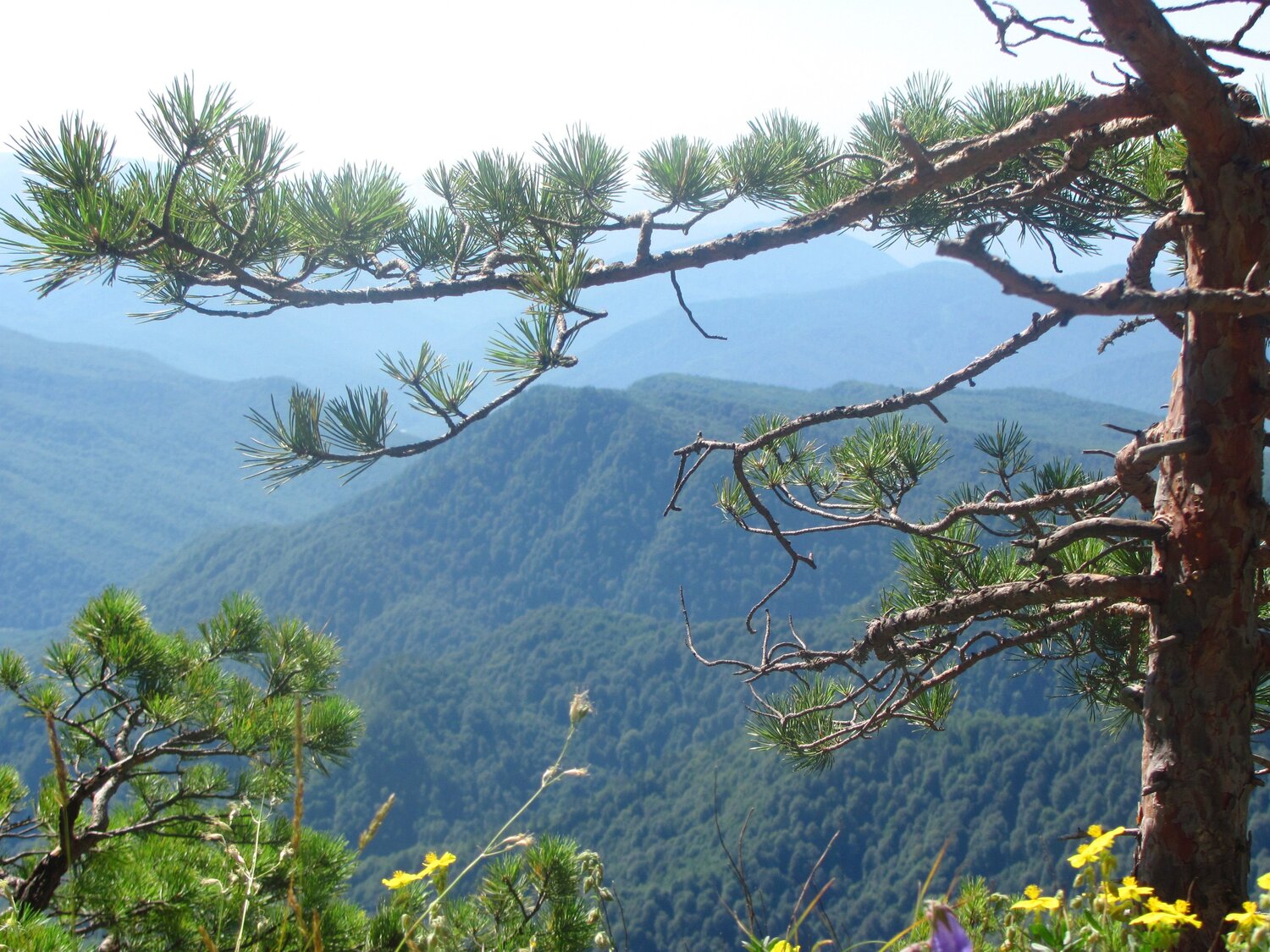 Photo #6731526