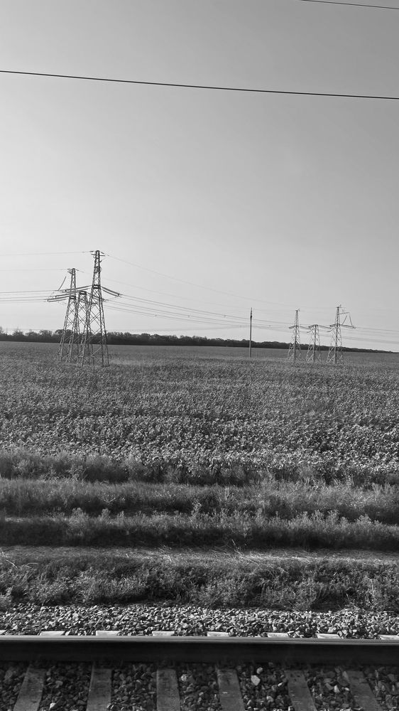 Фотография автора Николай Лысенко