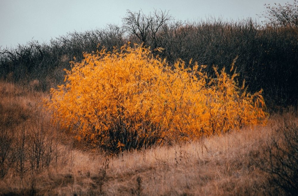 Photograph by Анатолий Чупрынин