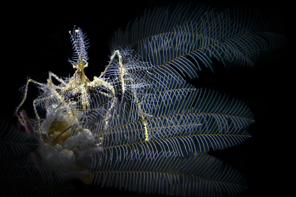 Photograph by Дериглазова Марина Владимировна