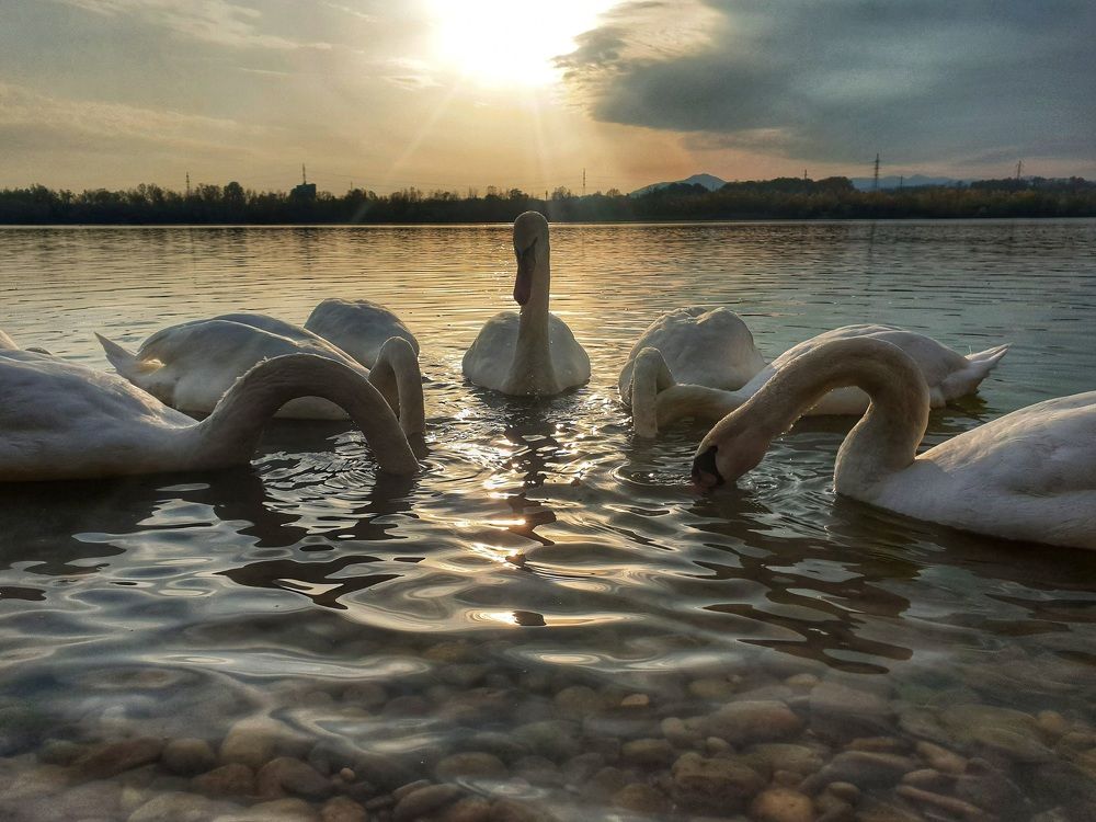 Photograph by Marina Gašpar