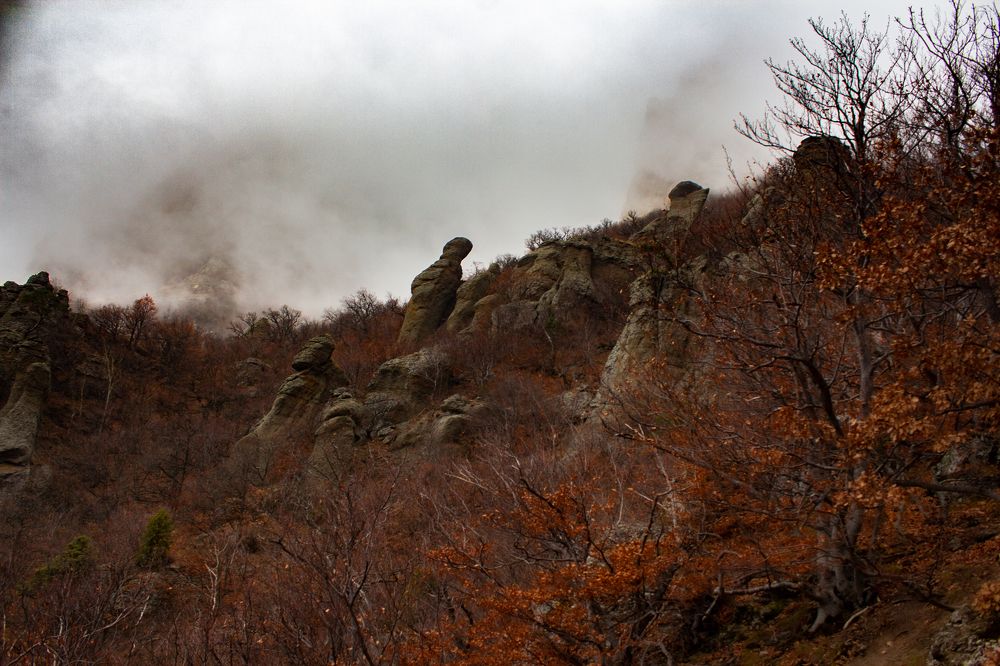 Photograph by сергей паршиков