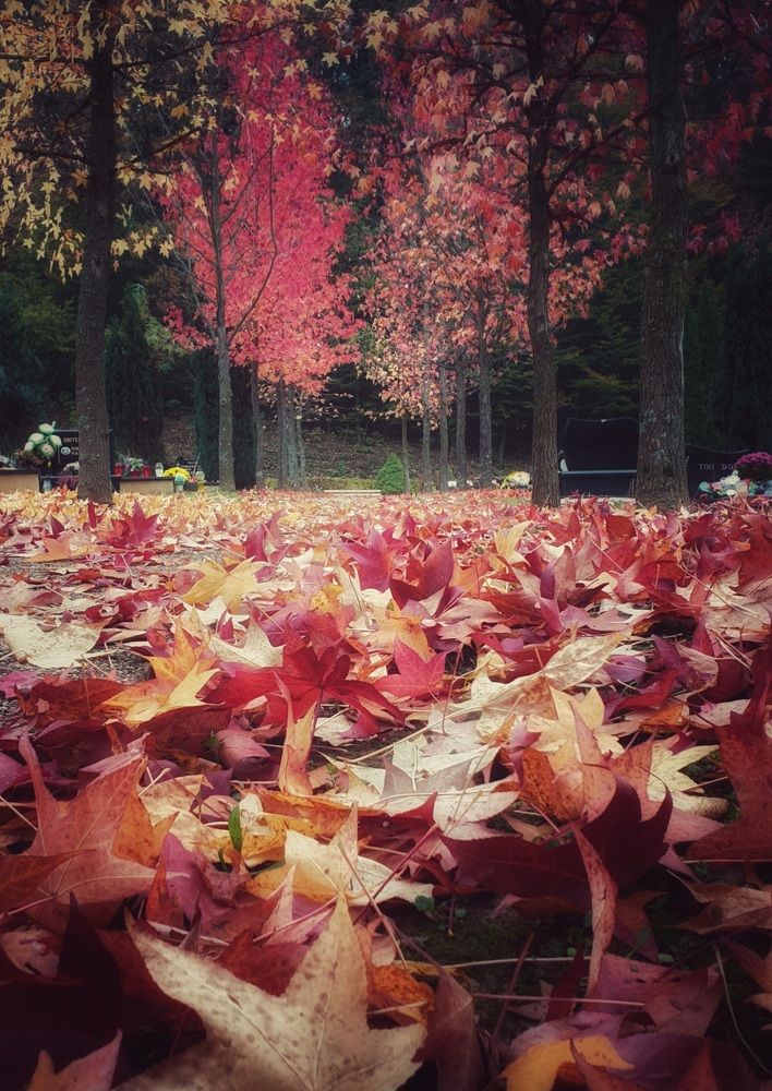 Photograph by Marina Gašpar