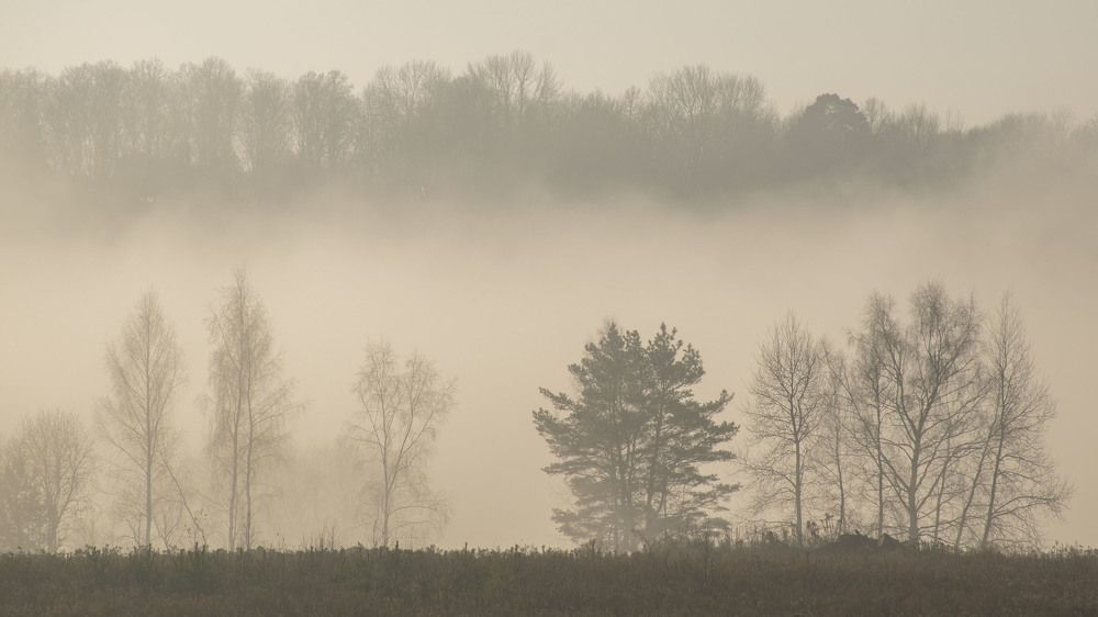 Photograph by Людмила Железнова