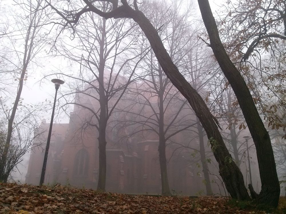 Photograph by Dariusz Gruszka