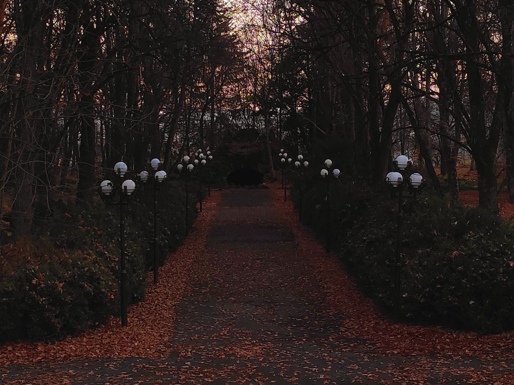 Photograph by Лолита Биттирова