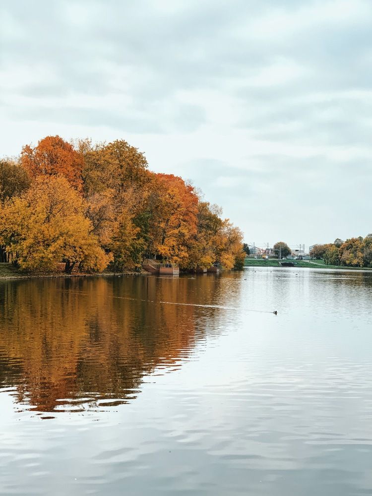 Фотография автора Сычкова Евгения
