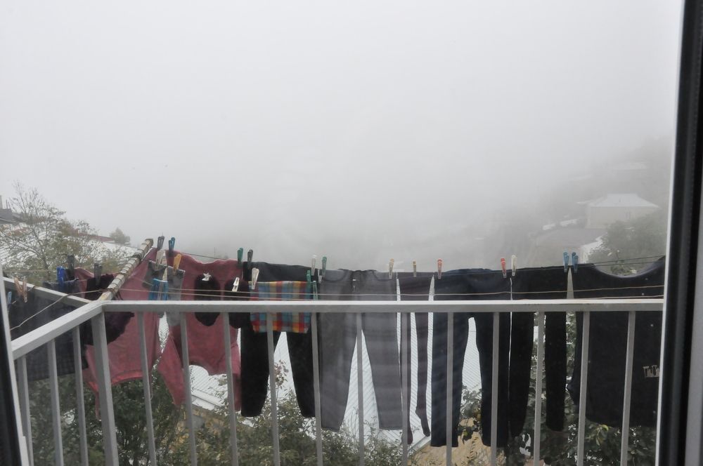 Туман из окна