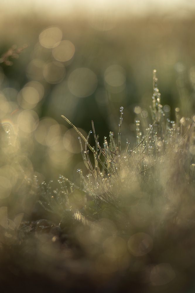 Фотография автора Мария Рохмистрова