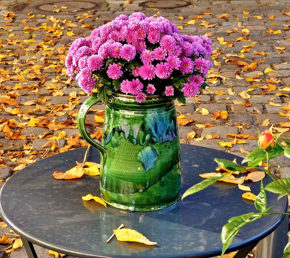 Photograph by backareva irina