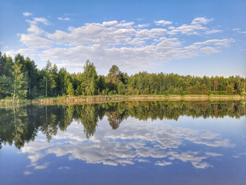 Photograph by Михаил Рассказ