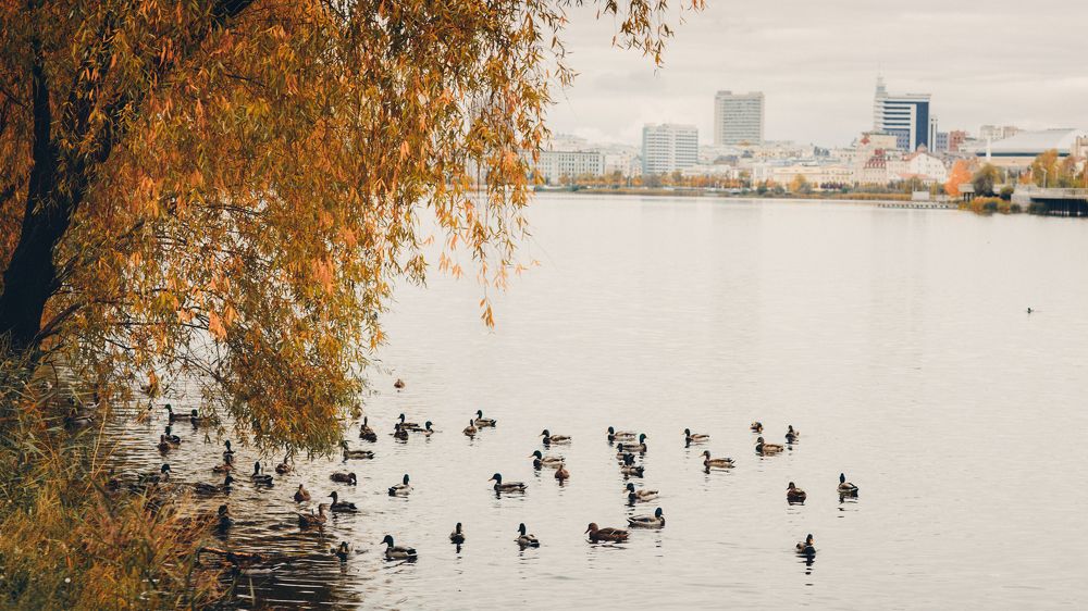 Photograph by Muire Fuar