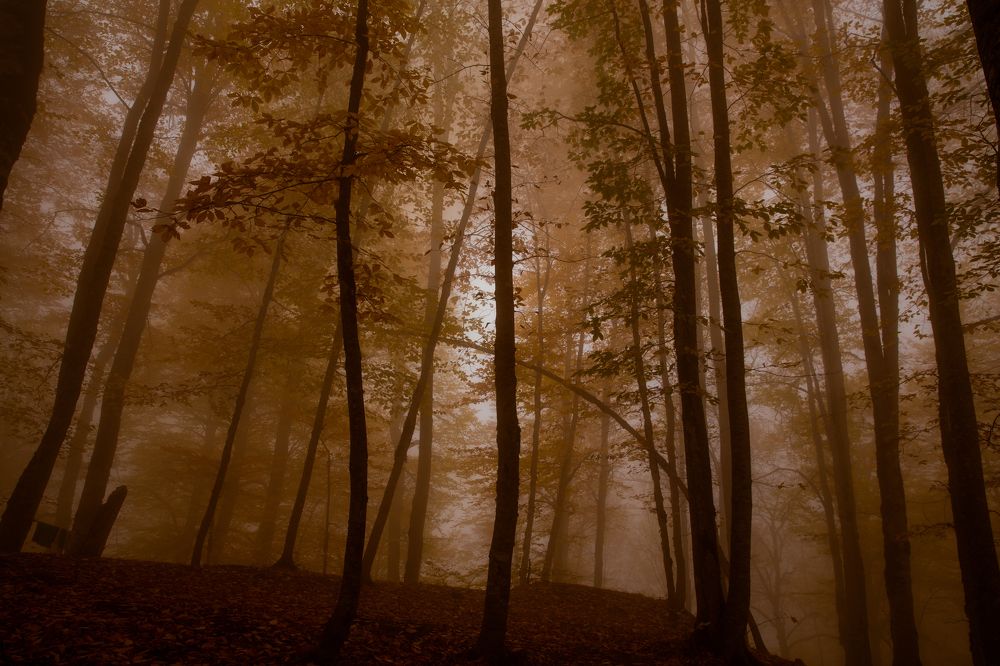 Photograph by Mahir Rustamov