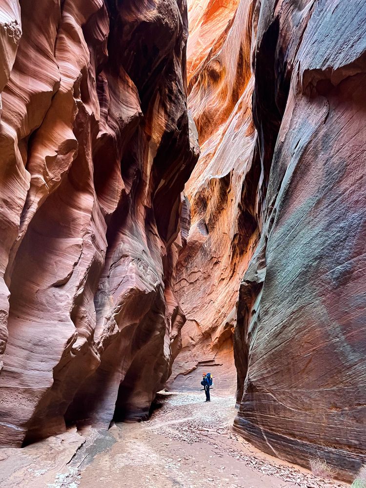 Photograph by Марина Маликова