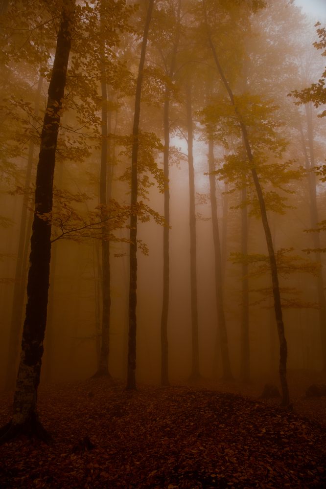 Photograph by Mahir Rustamov