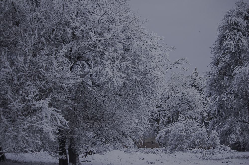 Первое марта