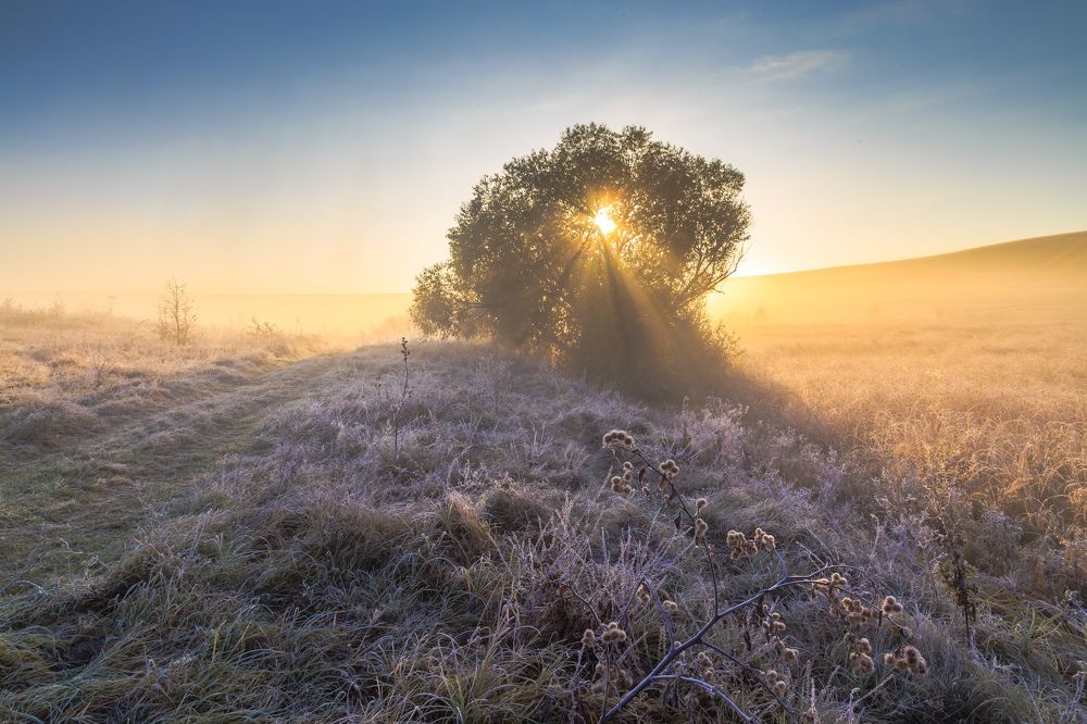 Photograph by Андрей Косенко
