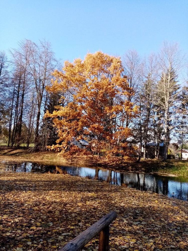 Photograph by Наталья Терентьева
