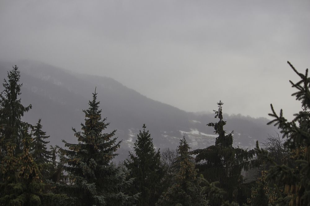 Февральский туман