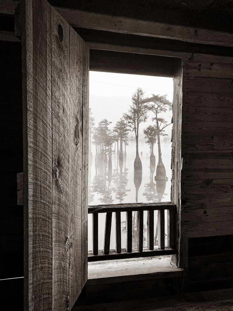 Photograph by Марина Маликова