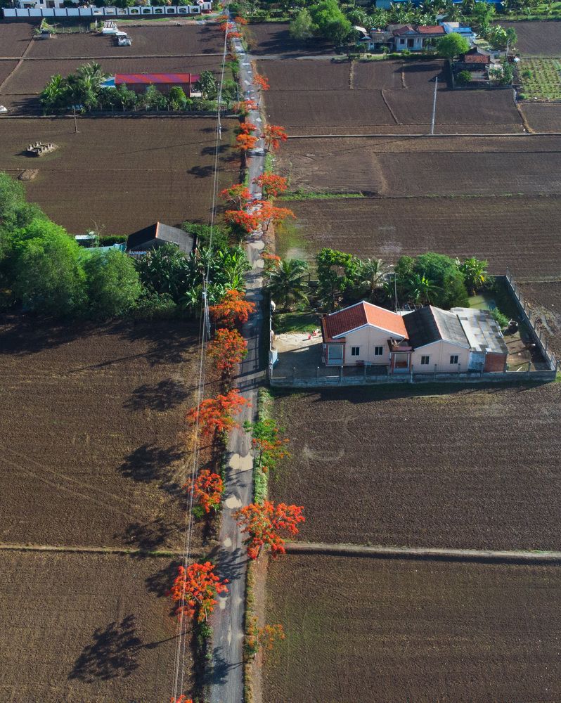 Photograph by Ngo Duy Minh Triet