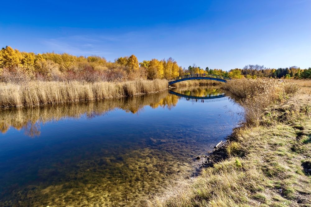 Фотография автора Дмитрий