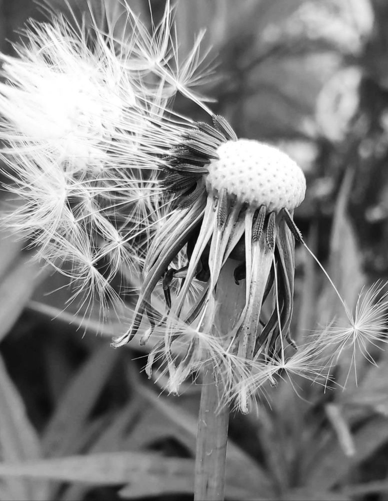 Photograph by Елена