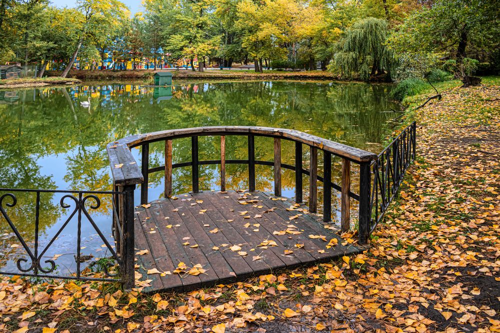 Photograph by Ольга Усова