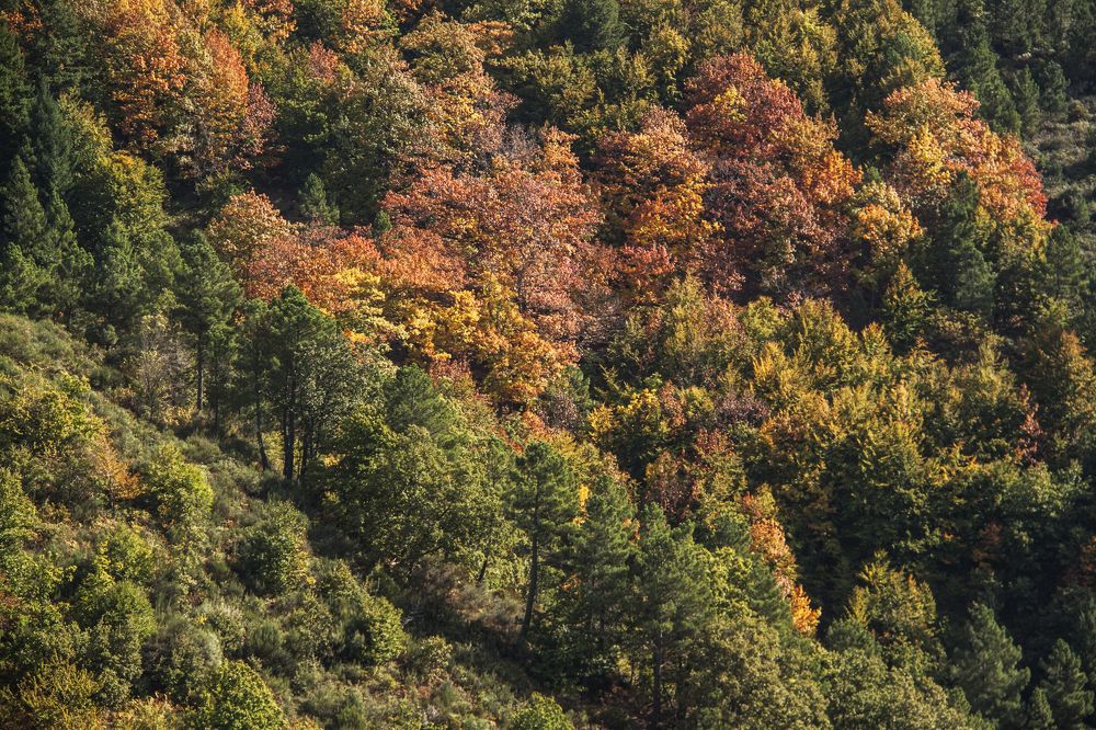 Photograph by Sérgio Barão