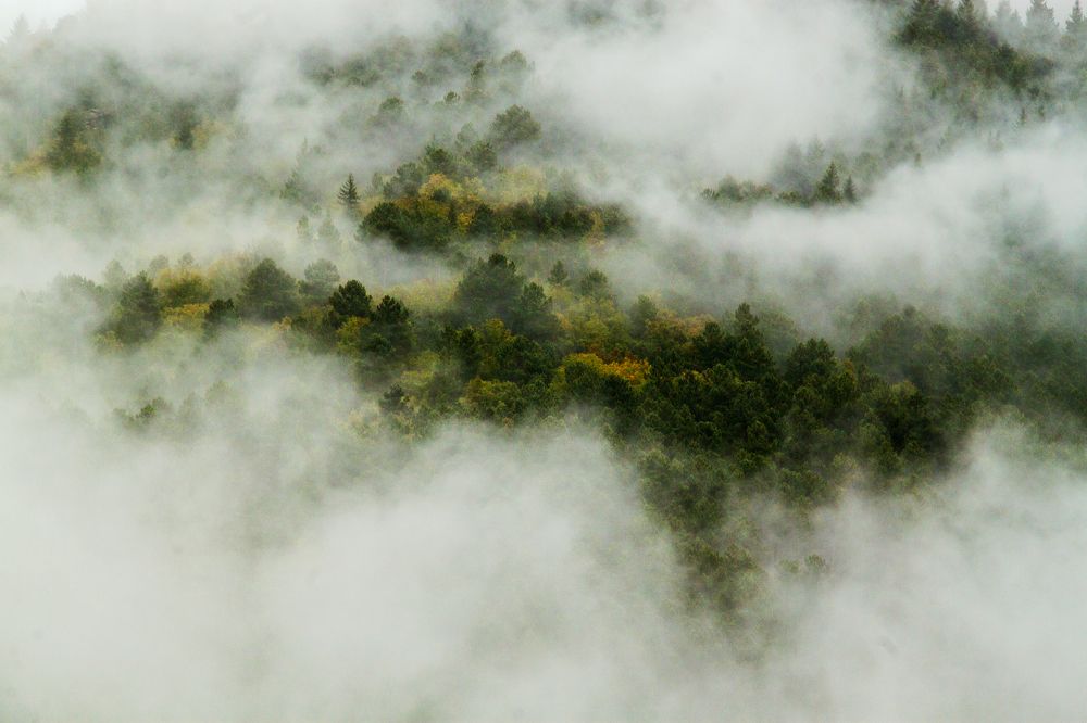 Photograph by Sérgio Barão