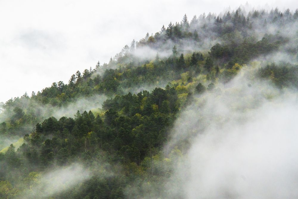 Photograph by Sérgio Barão