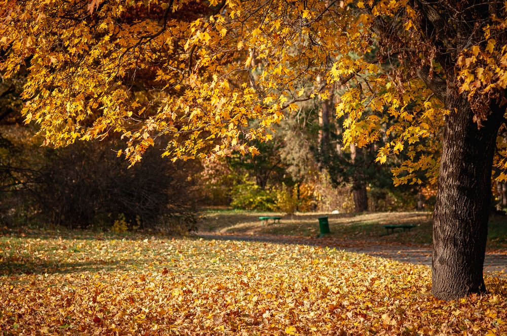 Photograph by Ольга Кудина