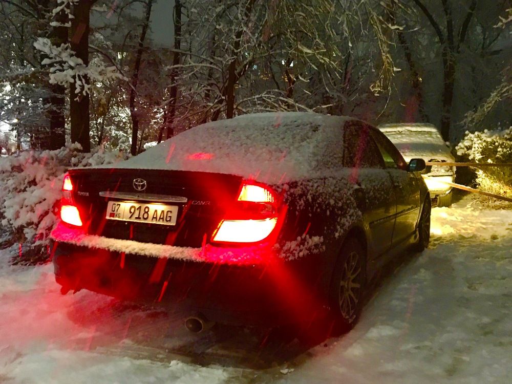 Photograph by Елена Ким