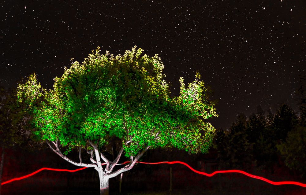 Photograph by Сергей Вальков