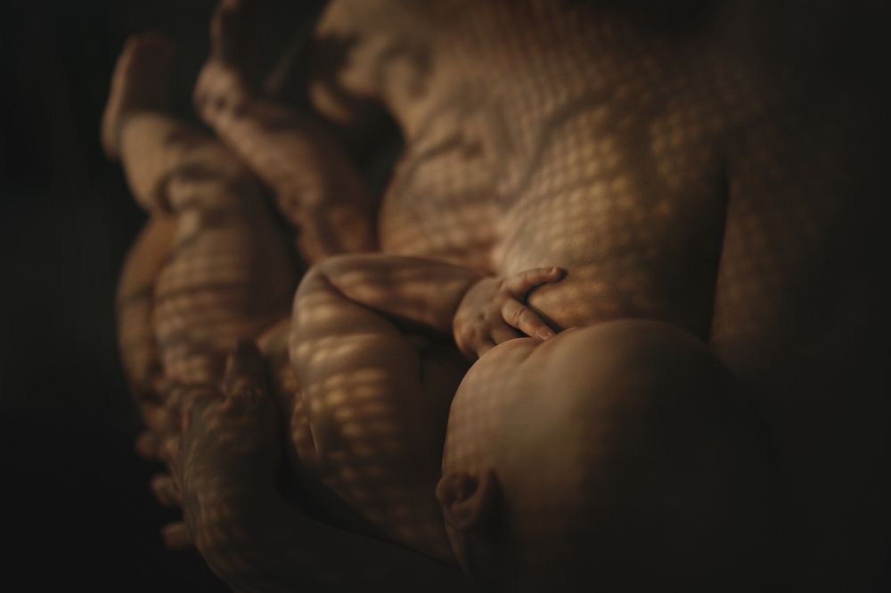 Photograph by Светлана