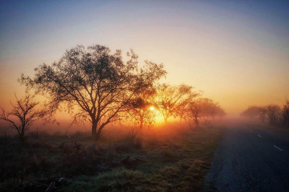 Photograph by Станислав Илюк