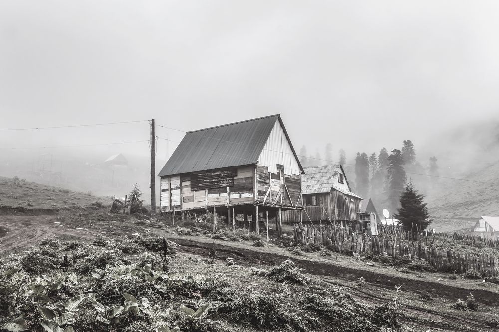 Фотография автора Катерина Кувыркина