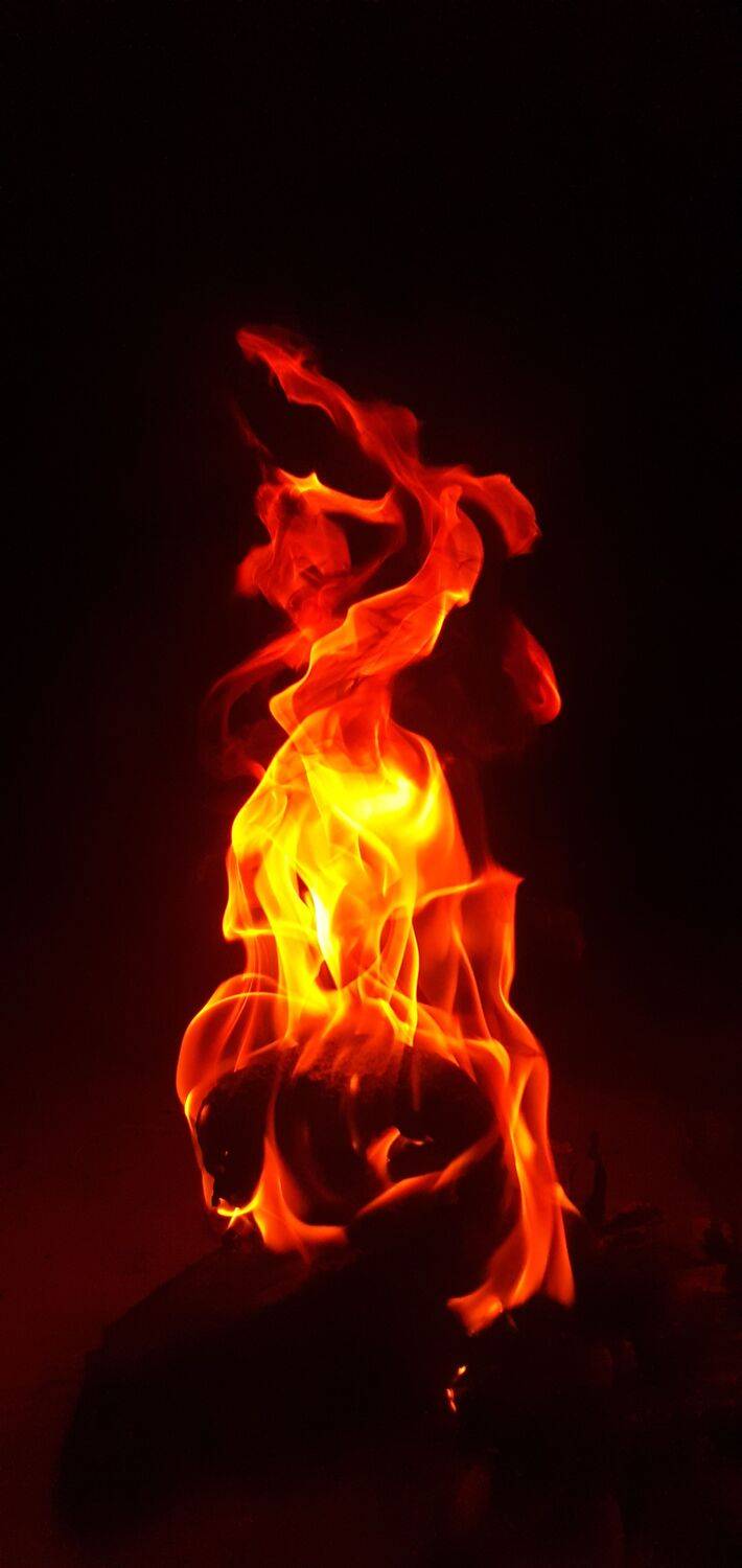 Photo #6732212