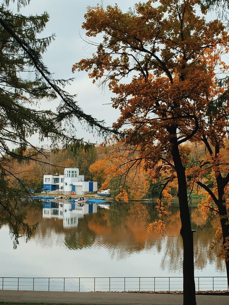 Фотография автора Сычкова Евгения