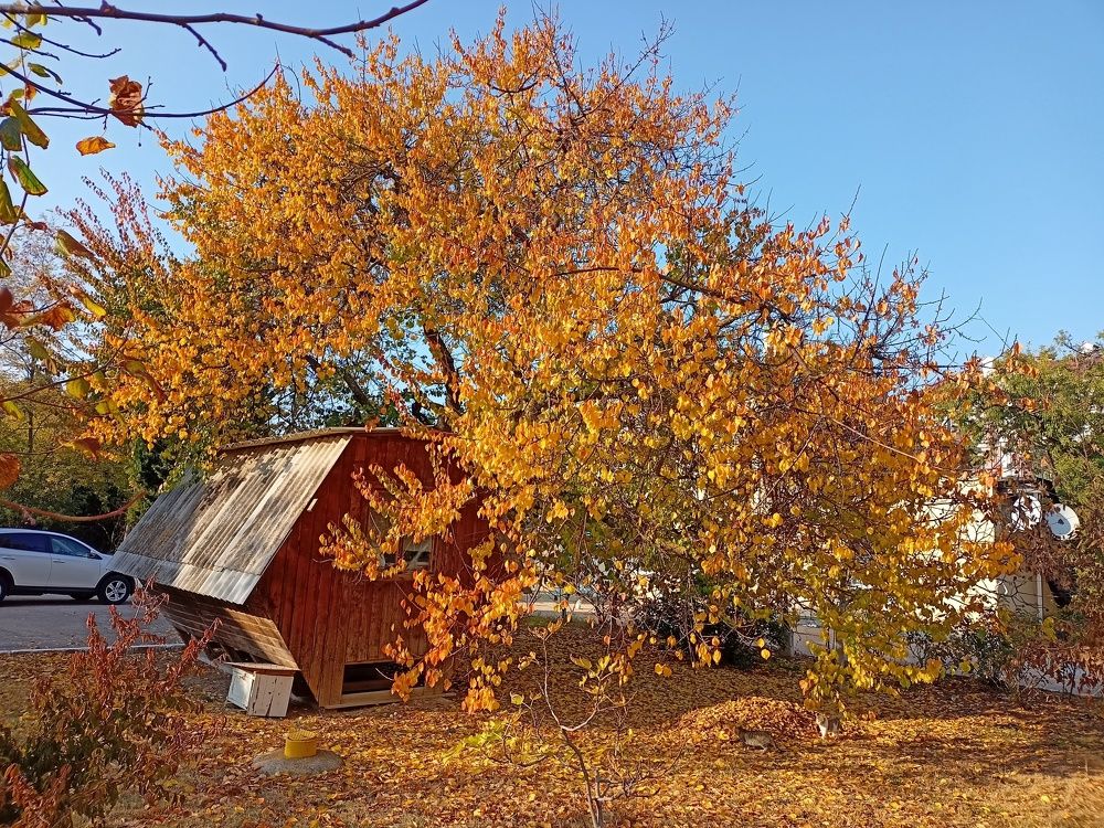 Photograph by Сергей Борисов