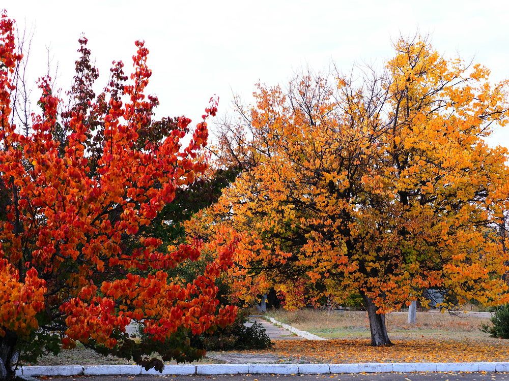 Photograph by Сергей Борисов