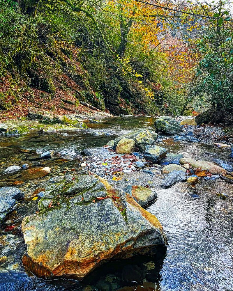 Photograph by Важинская Татьяна