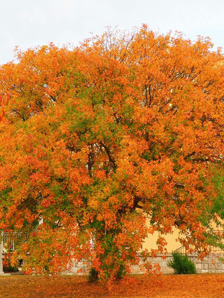 Photograph by Сергей Борисов