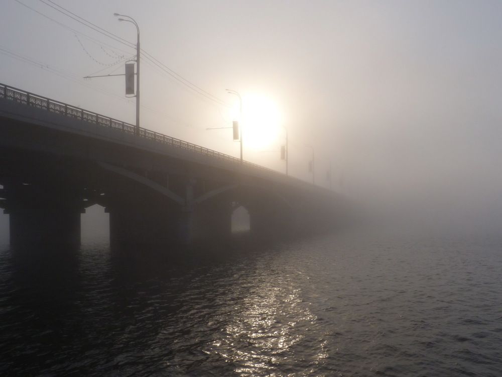 Photo #6732399