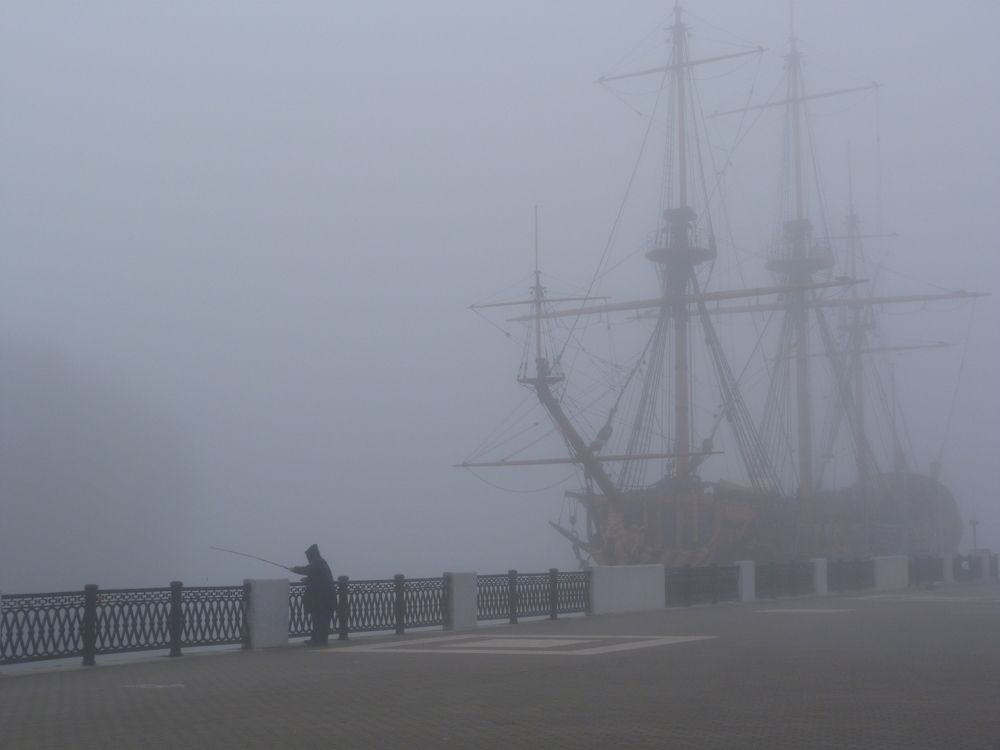 Photo #6732400