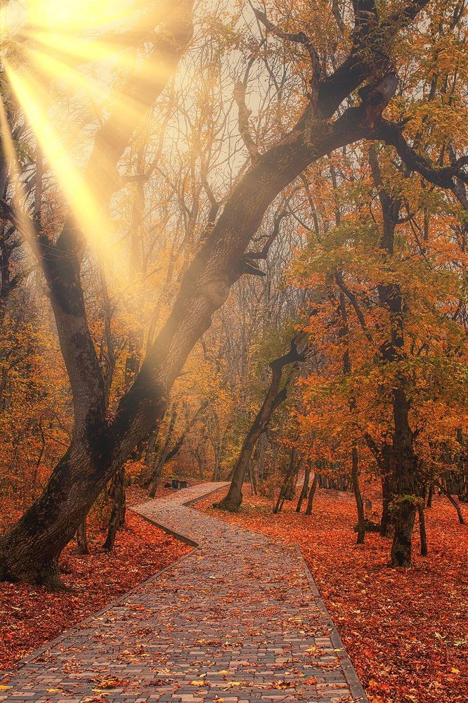 Photograph by Виктор Холодов