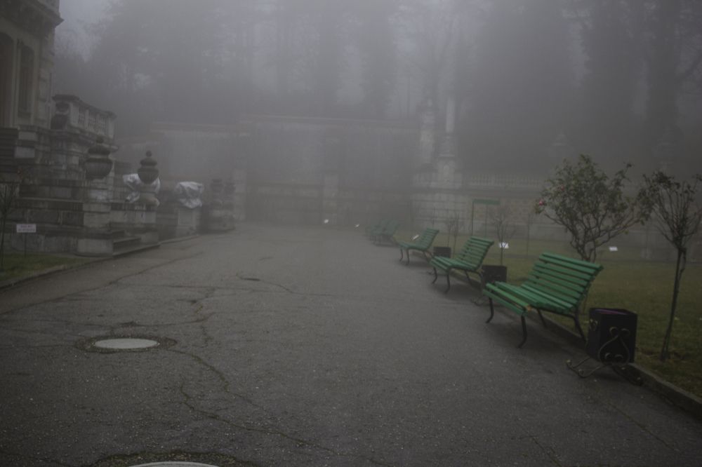 Февральский туман в парке дворца