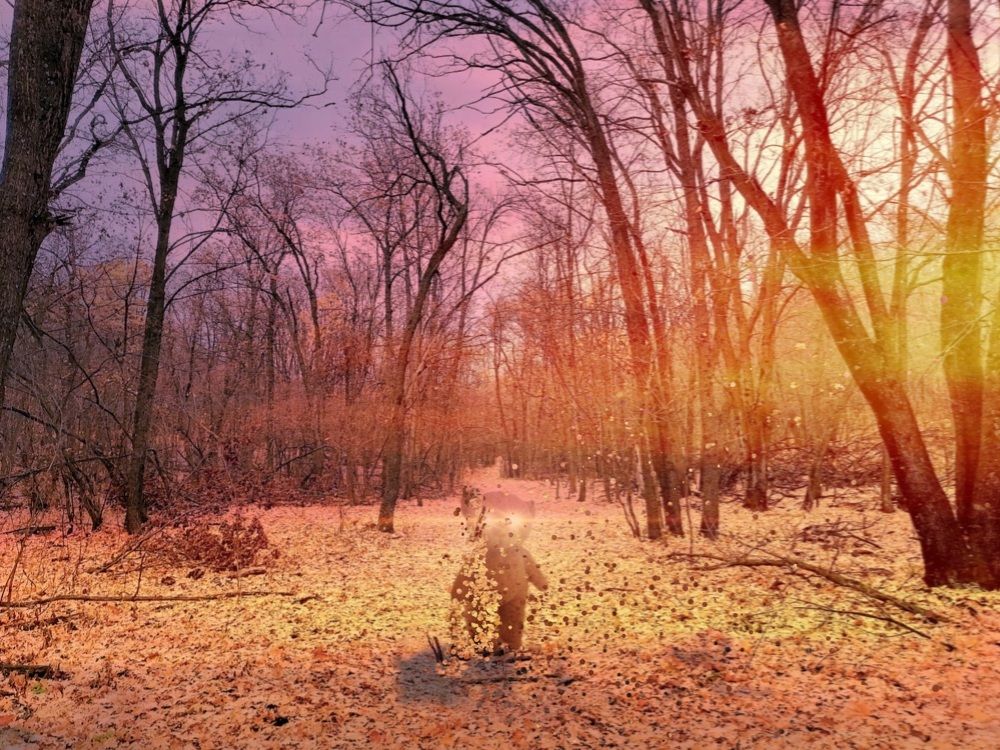 Фотография автора Иван Иванов