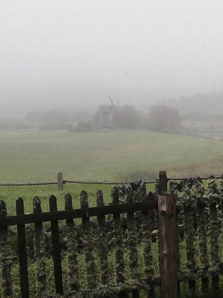 Photograph by Елена Лепешкина